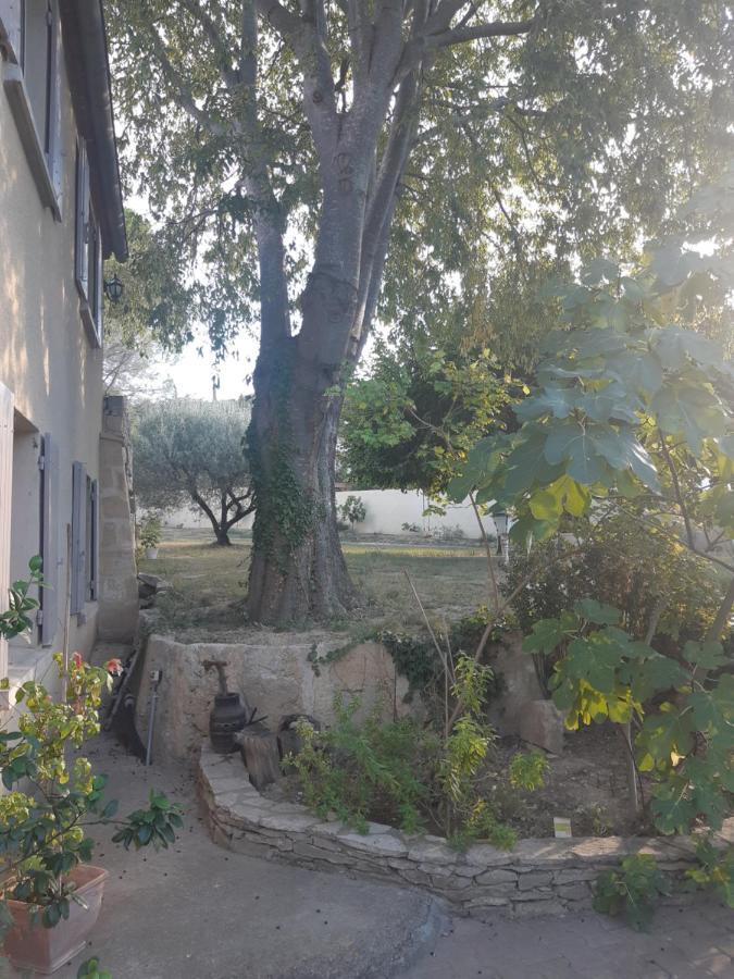 La Cartagene - Chambre Double كالفيسون المظهر الخارجي الصورة